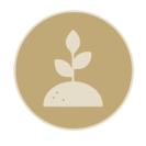 شبوك-سياجات-الرياض-شركة-مقاولات-عوالي-البساتين