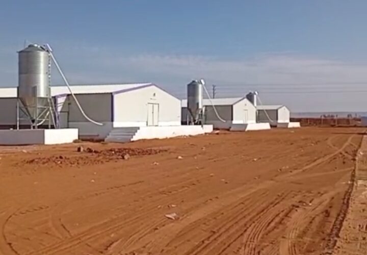 Screenshot ٢٠٢٥١٢١٤ ٠٣٠٢٣١ WhatsApp e1769274523866