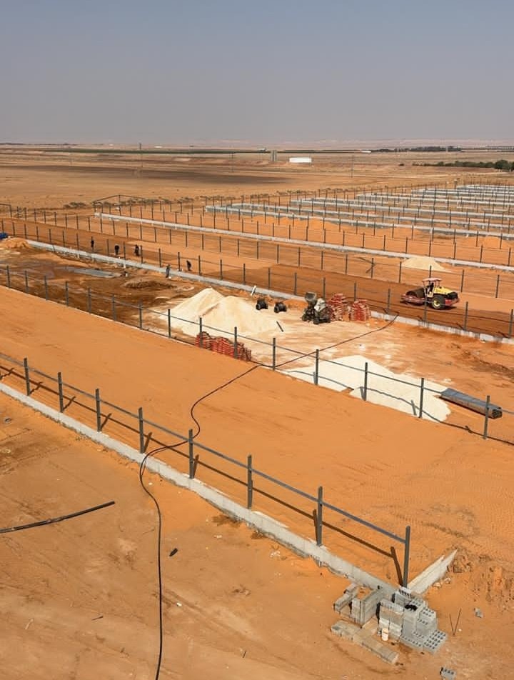 Screenshot ٢٠٢٦٠٢٠٢ ١٥٤٥٠٤ WhatsApp